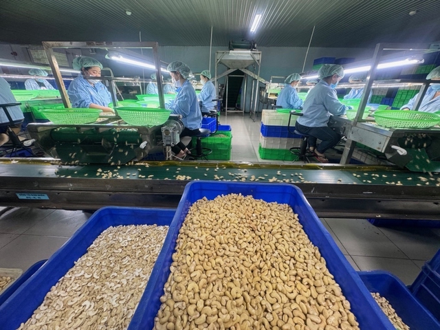 Trung Quốc, thị trường tiêu thụ lớn của Việt Nam- Ảnh 3. Trung Quốc, thị trường tiêu thụ lớn của Việt Nam- Ảnh 3.