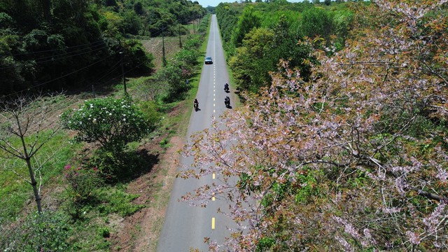 Th&agrave;nh lập 10 phường mới ở Đồng Nai v&agrave; tiềm năng du lịch hồ Trị An 2026 - Ảnh 2.