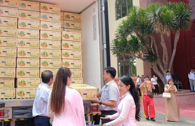 Xuất khẩu bưởi việt nam sang Úc: Bước tiến mới cho nông sản việt năm 2026 - Ảnh 1. Xuất khẩu bưởi việt nam sang Úc: Bước tiến mới cho nông sản việt năm 2026 - Ảnh 1.