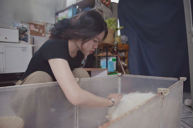 Người trẻ nuôi thú cưng: Chọn chó, mèo thay thế tình yêu trong cuộc sống - Ảnh 1. Người trẻ nuôi thú cưng: Chọn chó, mèo thay thế tình yêu trong cuộc sống - Ảnh 1.