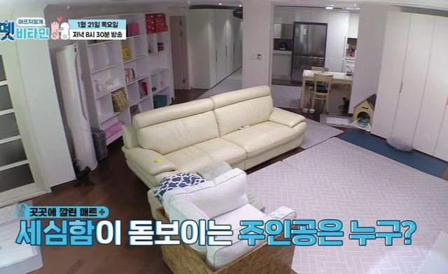 Hyoyeon (SNSD) vẫn sống trong k&yacute; t&uacute;c x&aacute; chung của nh&oacute;m sau 19 năm - Ảnh 2.