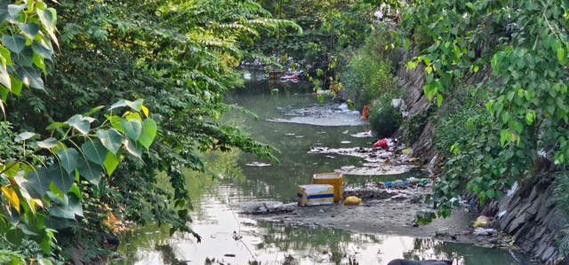 Sau phản ánh, kênh 19 Tháng 5 cắt tỉa cây dại nhưng rác thải vẫn còn - Ảnh 3.