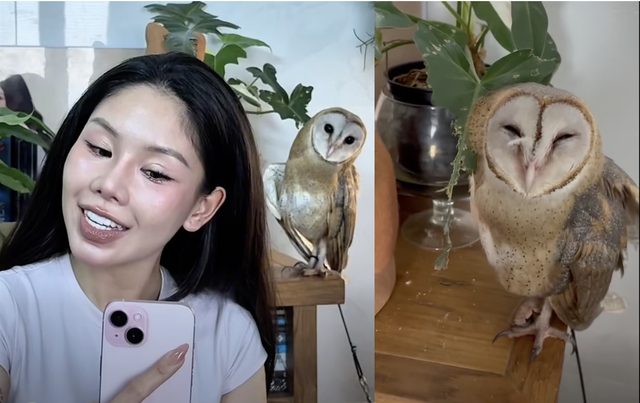 Mối duy&ecirc;n với chim c&uacute; lợn v&agrave; h&agrave;nh tr&igrave;nh 'giải m&atilde;' những quan niệm sai lầm - Ảnh 2.