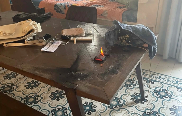 - Ảnh 2. - Ảnh 2.