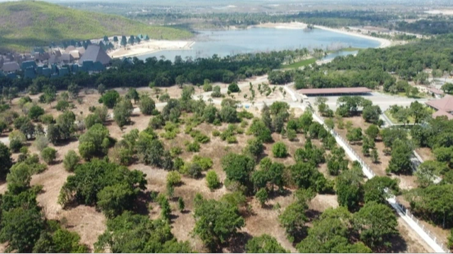 L&acirc;m Đồng th&aacute;o gỡ kh&oacute; khăn cho 306 dự &aacute;n ng&ograve;ai ng&acirc;n s&aacute;ch trong năm 2026 - Ảnh 1.