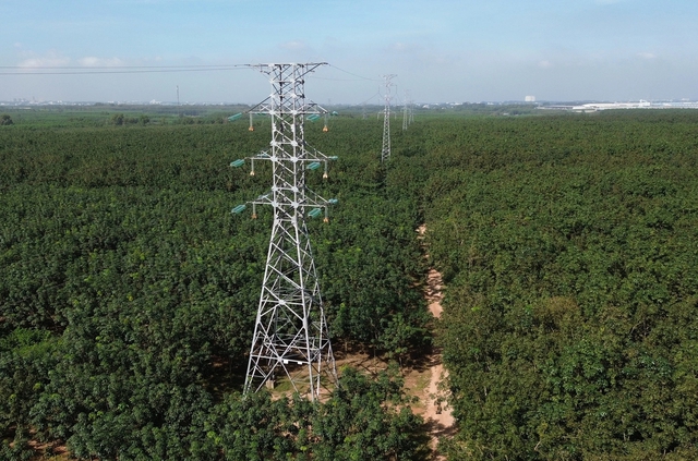 Đồng Nai: Kh&ocirc;ng được cắt điện c&aacute;c đơn vị sử dụng ng&acirc;n s&aacute;ch đang nợ tiền điện- Ảnh 2.