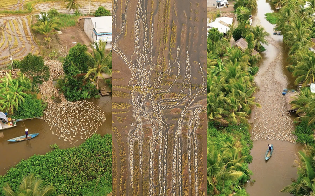 Những thước phim triệu view ghi vẻ đẹp miền T&acirc;y từ tr&ecirc;n cao - Ảnh 3.