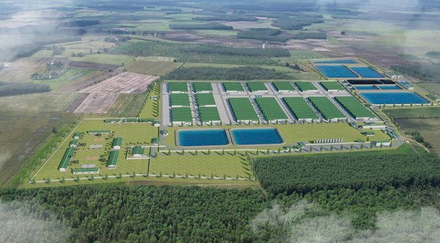 BAF li&ecirc;n doanh Muyuan vận h&agrave;nh trang trại c&ocirc;ng nghệ cao đầu ti&ecirc;n tại T&acirc;y Ninh  - Ảnh 2.