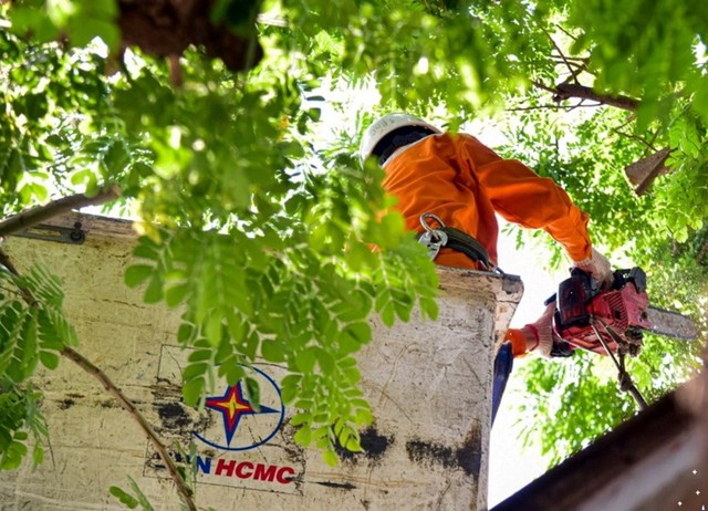 EVNHCMC Giữ mạch sáng cho đầu tàu kinh tế - Ảnh 2.