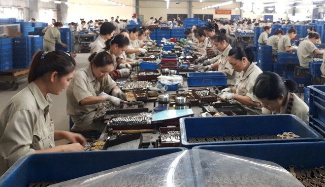 Đề xuất n&acirc;ng ngưỡng miễn thuế của hộ kinh doanh v&agrave; doanh nghiệp nhỏ l&ecirc;n 1 tỉ - Ảnh 2.