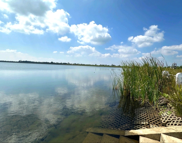 Hồ chứa nước ngọt gần 250 tỉ đồng, ho&agrave;n th&agrave;nh 2 năm nhưng để kh&ocirc;ng- Ảnh 2.