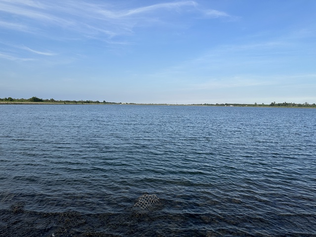 Hồ chứa nước ngọt gần 250 tỉ đồng, ho&agrave;n th&agrave;nh 2 năm nhưng để kh&ocirc;ng- Ảnh 3.