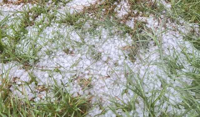 Mưa đá dội xuống Tu Mơ Rông, nông dân thiệt hại, chính quyền khẩn trương hỗ trợ - Ảnh 1.