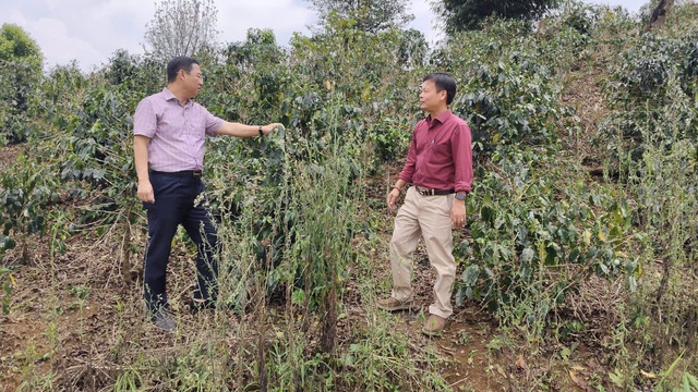 Mưa đá dội xuống Tu Mơ Rông, nông dân thiệt hại, chính quyền khẩn trương hỗ trợ - Ảnh 4.