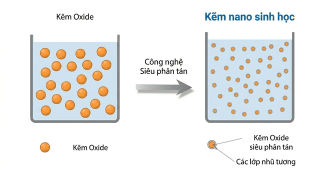 Kẽm Nano sinh học: Giải ph&aacute;p cho trẻ biếng ăn do thiếu kẽm - Ảnh 2.