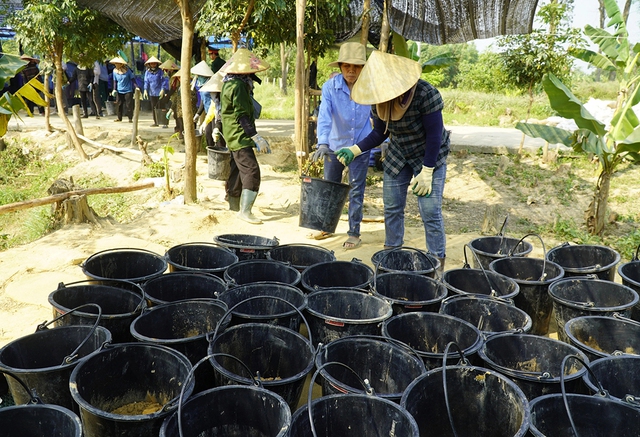 T&igrave;m người từng ở b&ecirc;n kia chiến tuyến: 'Ch&uacute;ng ta sẽ chưa dừng lại!'- Ảnh 3.
