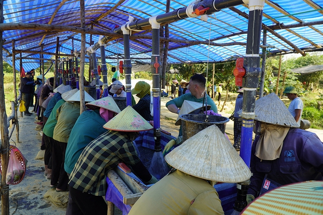 T&igrave;m người từng ở b&ecirc;n kia chiến tuyến: 'Ch&uacute;ng ta sẽ chưa dừng lại!'- Ảnh 5.
