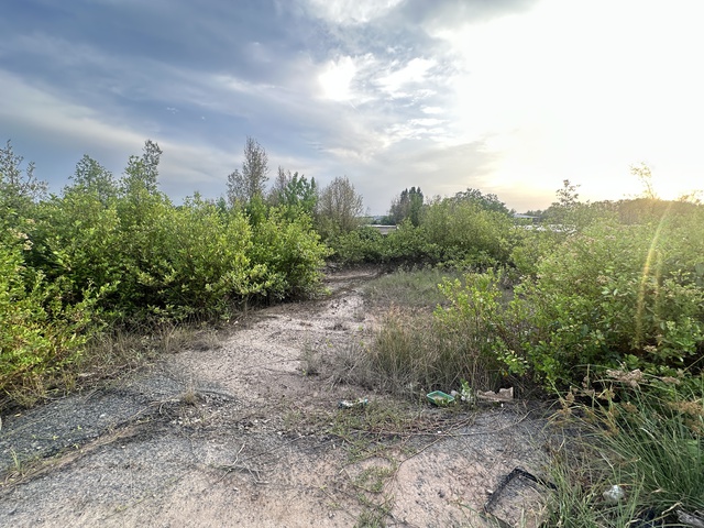 Ng&acirc;n h&agrave;ng đất 11 ha ở C&agrave; Mau sau 8 năm vẫn 'treo' v&igrave; vướng cơ chế    - Ảnh 2.