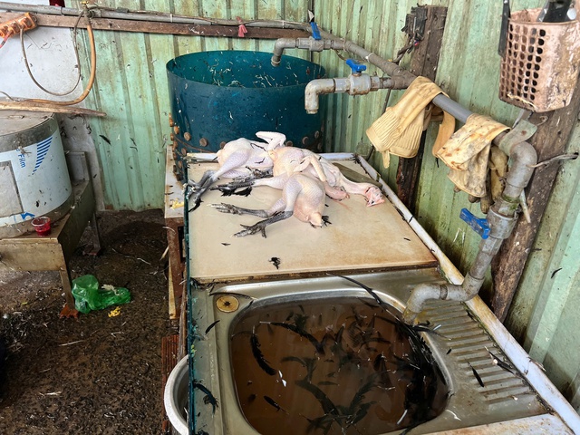 L&ograve; giết mổ gia cầm 'chui', bốc m&ugrave;i h&ocirc;i thối trong khu d&acirc;n cư TP.HCM- Ảnh 1.