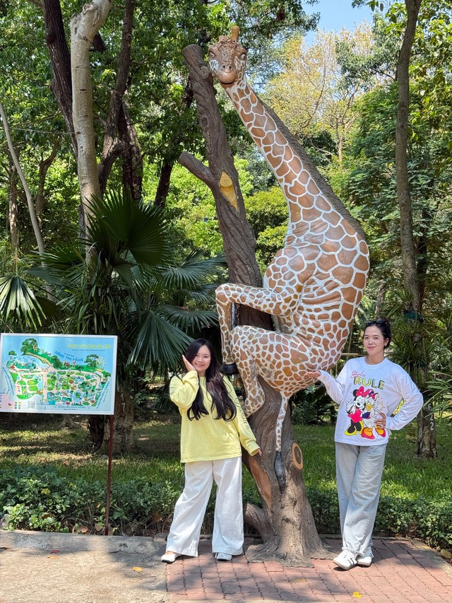 Tượng hươu cao cổ ở Thảo Cầm Viên bị ‘gãy sừng, rạn xương’ - Ảnh 2.