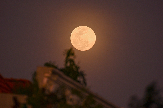 Tối nay rằm th&aacute;ng 2 trăng hồng s&aacute;ng rực bầu trời Việt, cạnh ch&ograve;m sao Xử Nữ - Ảnh 2.