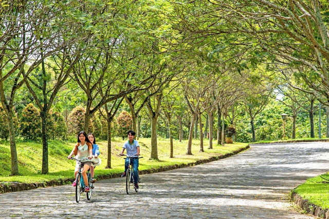 Th&agrave;nh lập 10 phường mới ở Đồng Nai: X&acirc;y dựng Trảng Bom th&agrave;nh đ&ocirc; thị đ&aacute;ng sống - Ảnh 6.