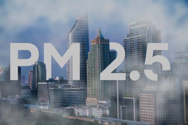 &lsquo;L&aacute; chắn&rsquo; n&agrave;o bảo vệ nhan sắc trước t&igrave;nh trạng &ocirc; nhiễm kh&ocirc;ng kh&iacute; b&aacute;o động?- Ảnh 2.