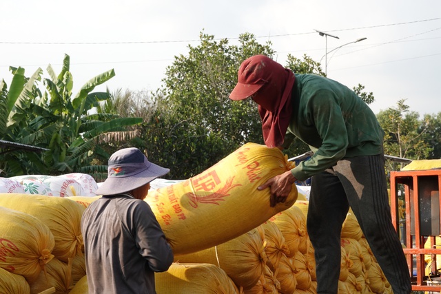 Gi&aacute; gạo Việt Nam tăng mạnh nhất ch&acirc;u &Aacute;  - Ảnh 1.