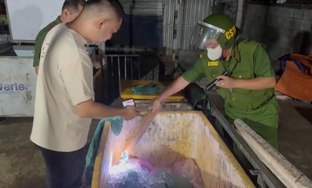 Phát hiện hơn nữa tấn thịt heo bốc mùi ở lò mổ trái phép - Ảnh 2.