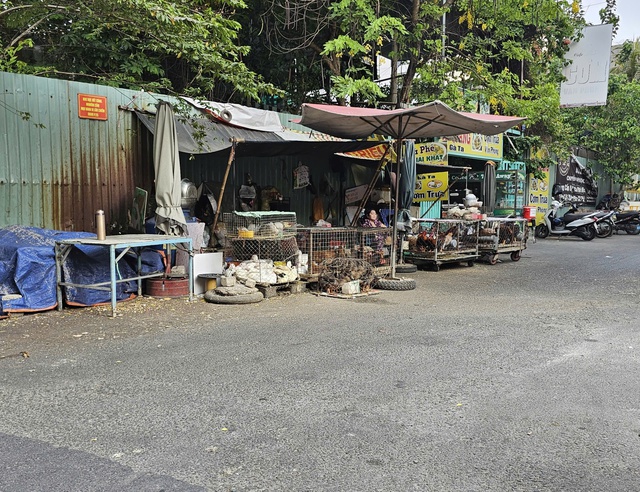 Phường Thạnh Mỹ T&acirc;y ra qu&acirc;n xử phạt, lập lại trật tự l&ograve;ng lề đường - Ảnh 2.