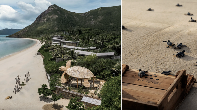 Việt Nam v&agrave;o top 7 điểm đến trải nghiệm thả r&ugrave;a biển tr&ecirc;n thế giới- Ảnh 1.