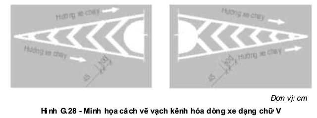 Vạch xương c&aacute; k&ecirc;nh h&oacute;a d&ograve;ng xe l&agrave; g&igrave;, đ&egrave; l&ecirc;n bị phạt bao nhi&ecirc;u? - Ảnh 4.