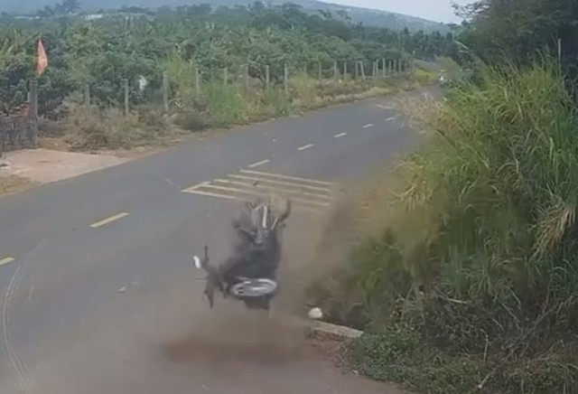  Đình chỉ cán bộ CSGT  - Ảnh 1.