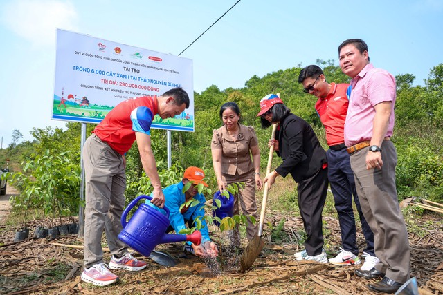 Dai-ichi Life Việt Nam trồng 6.000 c&acirc;y xanh tại thảo nguy&ecirc;n B&ugrave;i Hui, tỉnh Quảng Ng&atilde;i - Ảnh 2.