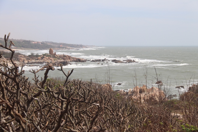  Lỗ hổng điều phối, nguy cơ lãng phí tài nguyên biển - Ảnh 1.