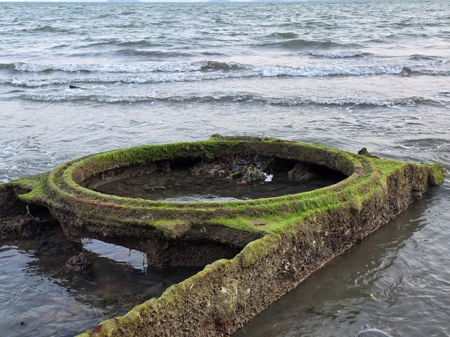 X&aacute;c xe tăng bất ngờ xuất hiện rồi biến mất tại b&atilde;i biển Quy Nhơn- Ảnh 2.