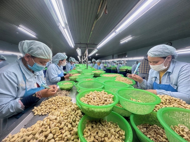 Mỹ ho&agrave;n thuế, doanh nghiệp Việt Nam c&oacute; được hưởng lợi?- Ảnh 1.