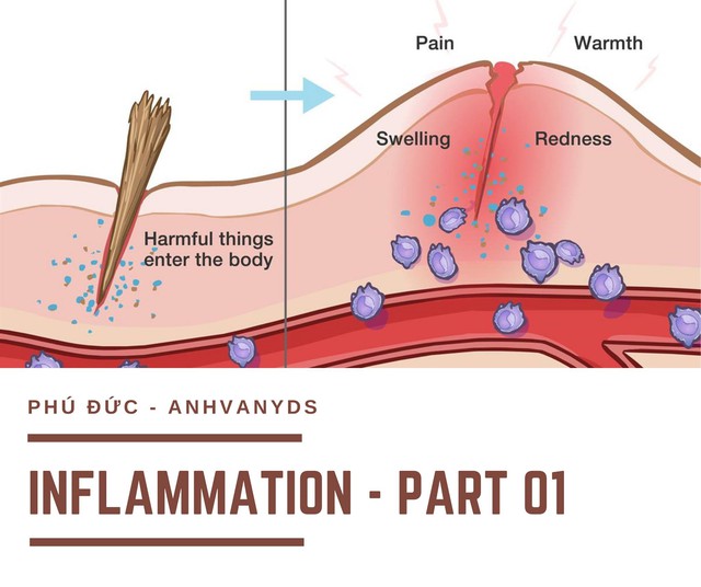 Chuy&ecirc;n gia giải đ&aacute;p: Vết thương hở n&ecirc;n b&ocirc;i g&igrave; để tr&aacute;nh sẹo xấu? - Ảnh 3.