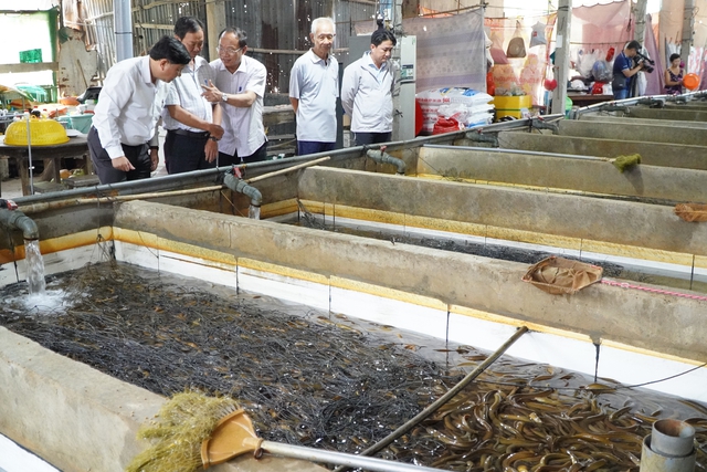  Hội nông dân nêu giải pháp đầu ra - Ảnh 1.