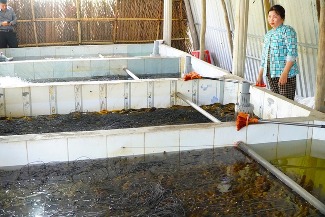  Hội nông dân nêu giải pháp đầu ra - Ảnh 2.