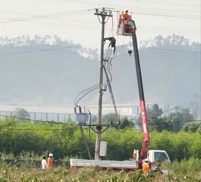 Nam sinh lớp 8 tử vong trên cột điện- Ảnh 1.