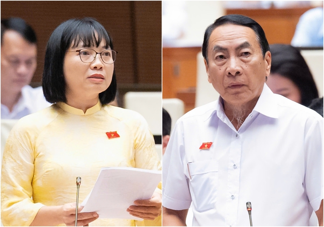 Luật sư c&ocirc;ng 'ế việc' cả th&aacute;ng, chế độ đ&atilde;i ngộ sẽ thế n&agrave;o?- Ảnh 2.