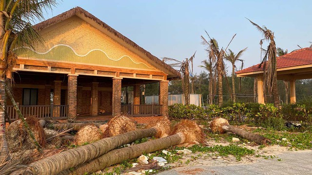 Dự &aacute;n du lịch hơn 250 tỉ đồng 'đắp chiếu' sau 2 năm b&agrave;n giao- Ảnh 2.