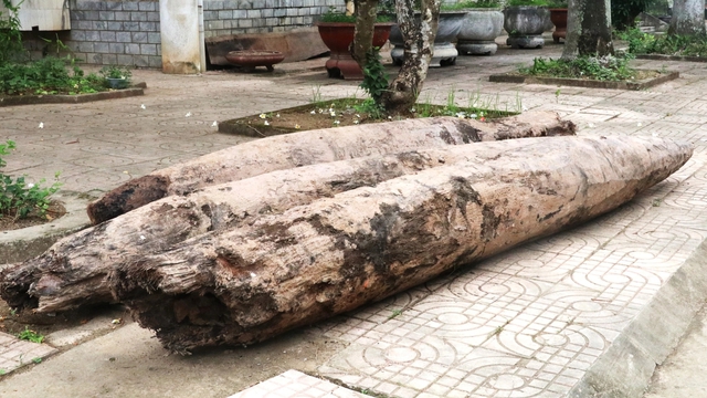 Kh&aacute;m ph&aacute; cọc gỗ s&ocirc;ng V&acirc;n c&oacute; ni&ecirc;n đại từ thời nh&agrave; Trần tại Ninh B&igrave;nh - Ảnh 1.