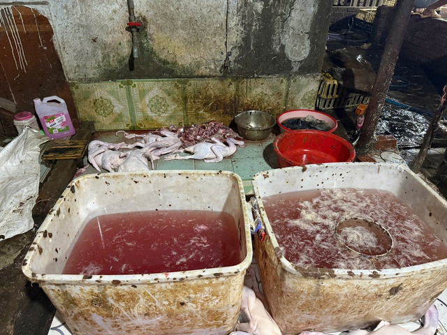  Đột kích lò giết mổ gia cầm 'siêu bẩn' lúc rạng sáng - Ảnh 3.