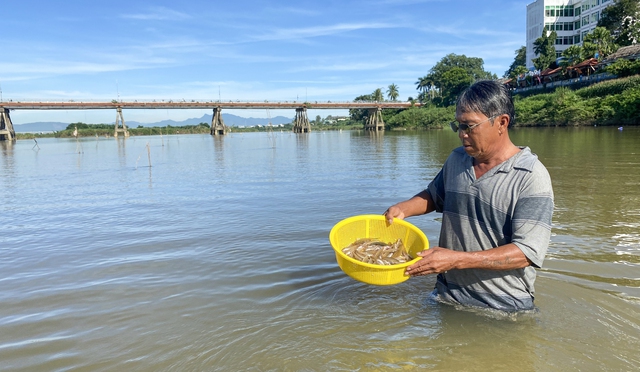 Nghề đặt ống tre bắt c&aacute; bống s&ocirc;ng Tr&agrave; Kh&uacute;c - hương vị qu&ecirc; hương Quảng Ng&atilde;i - Ảnh 4.