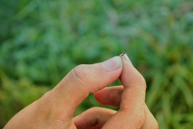 Lịch &acirc;m h&ocirc;m nay: Ng&agrave;y đầu nghỉ Giỗ tổ H&ugrave;ng Vương, ng&agrave;y 25.4 c&oacute; g&igrave; đặc biệt? - Ảnh 2.