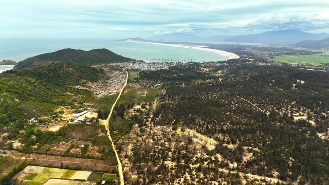 Gia Lai chuyển đổi 55 ha rừng để l&agrave;m dự &aacute;n hạ tầng- Ảnh 1.