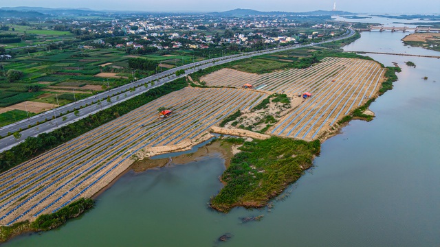 Mưu sinh tr&ecirc;n s&ocirc;ng Tr&agrave;: Đời n&ocirc;ng d&acirc;n 'du mục'- Ảnh 1.