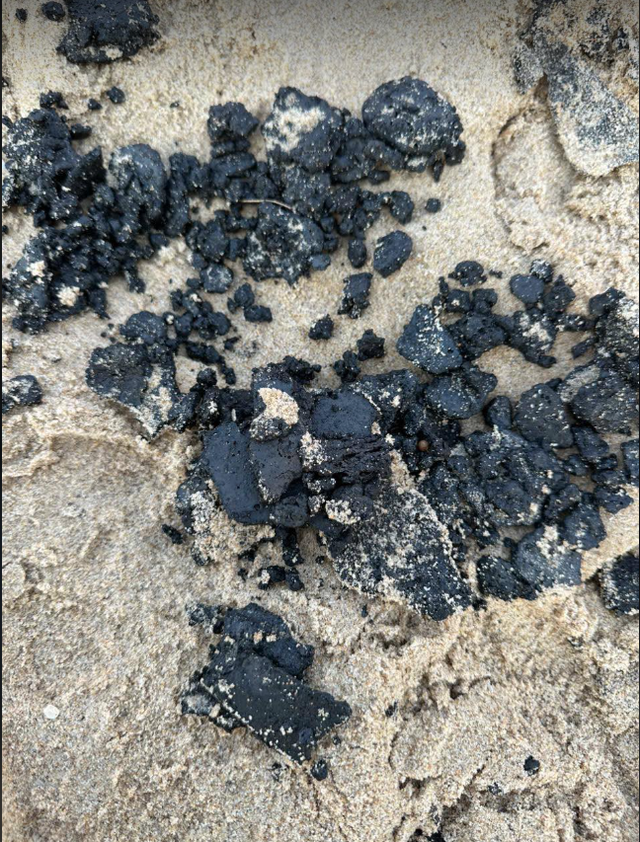 Huy động cả trăm người thu gom dầu v&oacute;n cục tr&ecirc;n b&atilde;i biển Cam B&igrave;nh- Ảnh 1.